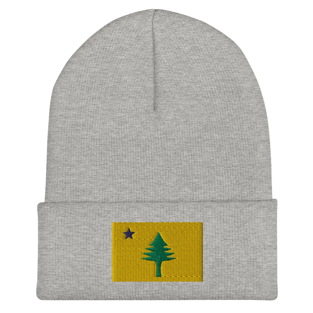 1901 Maine State Flag Winter Hat - Dirigo!