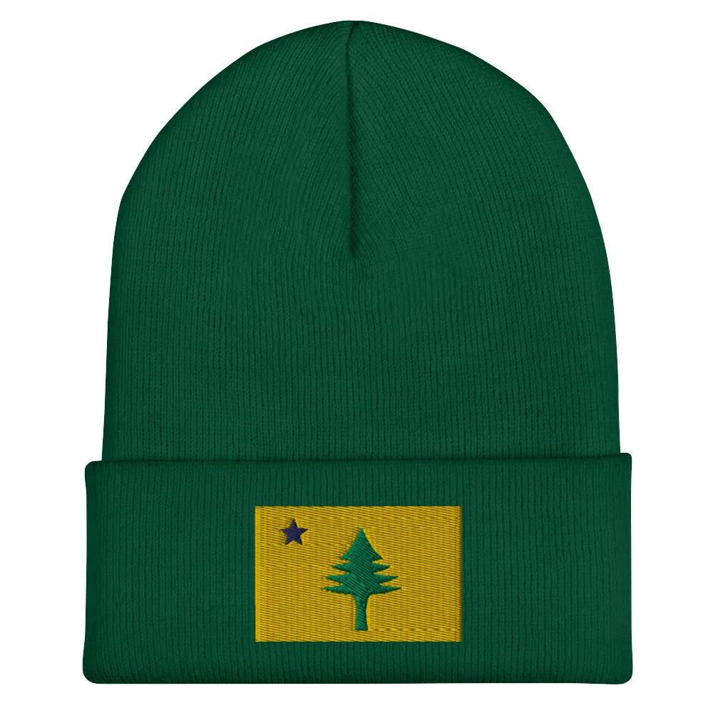 1901 Maine State Flag Winter Hat - Dirigo!