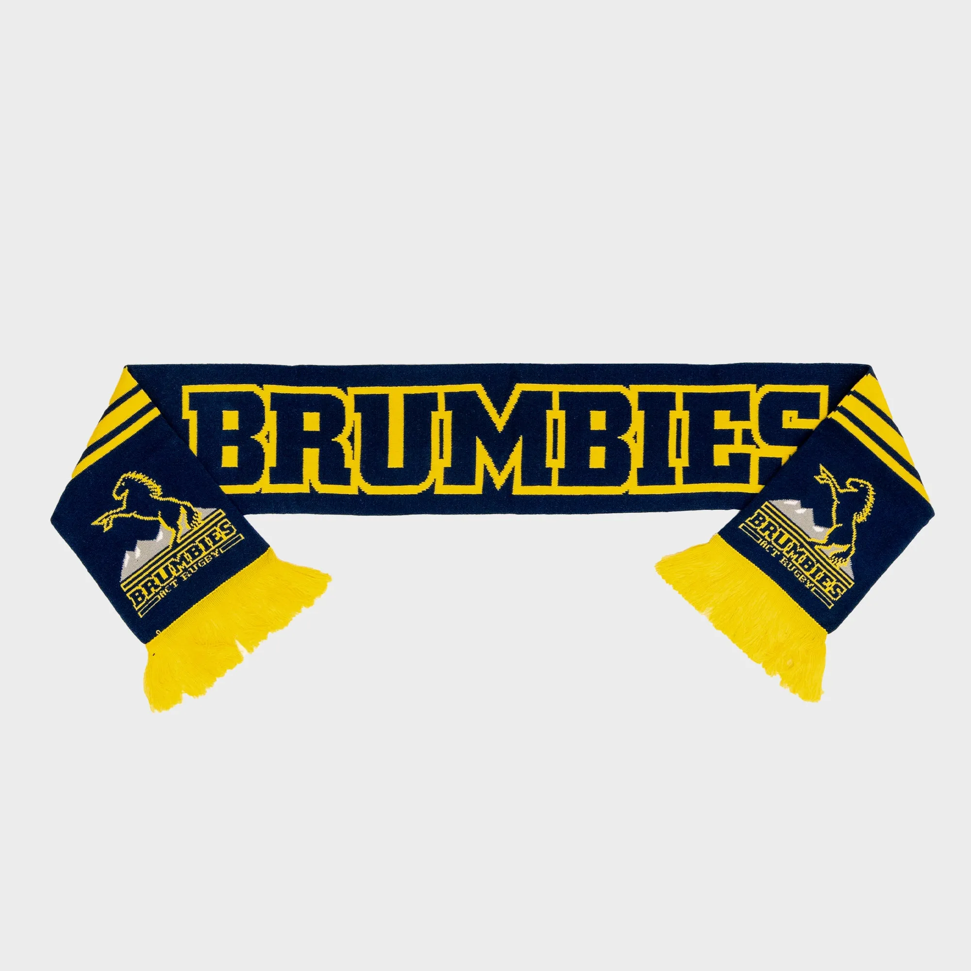 2024 Supporter Gold Game Day Scarf
