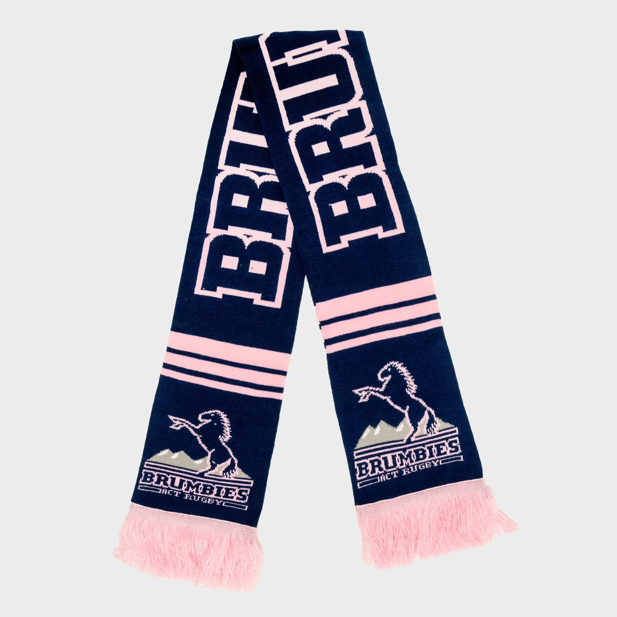 2024 Supporter Pink Game Day Scarf