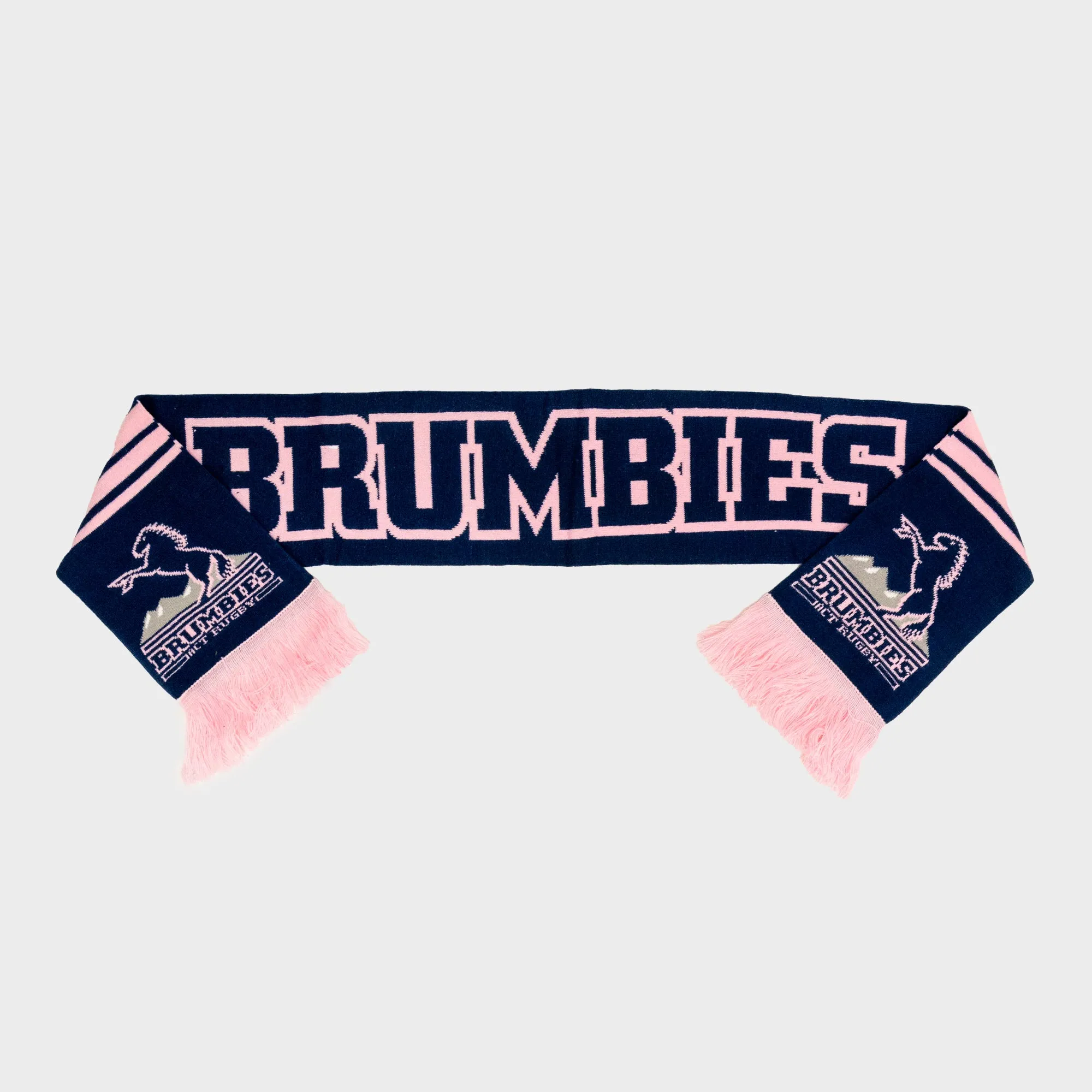 2024 Supporter Pink Game Day Scarf