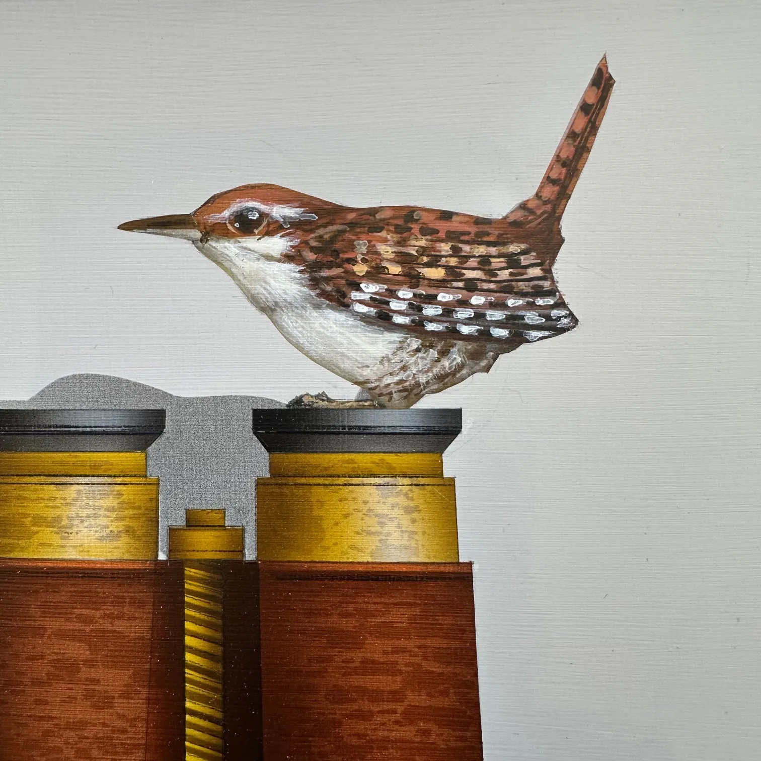 Bird Watching (Winter Wren)