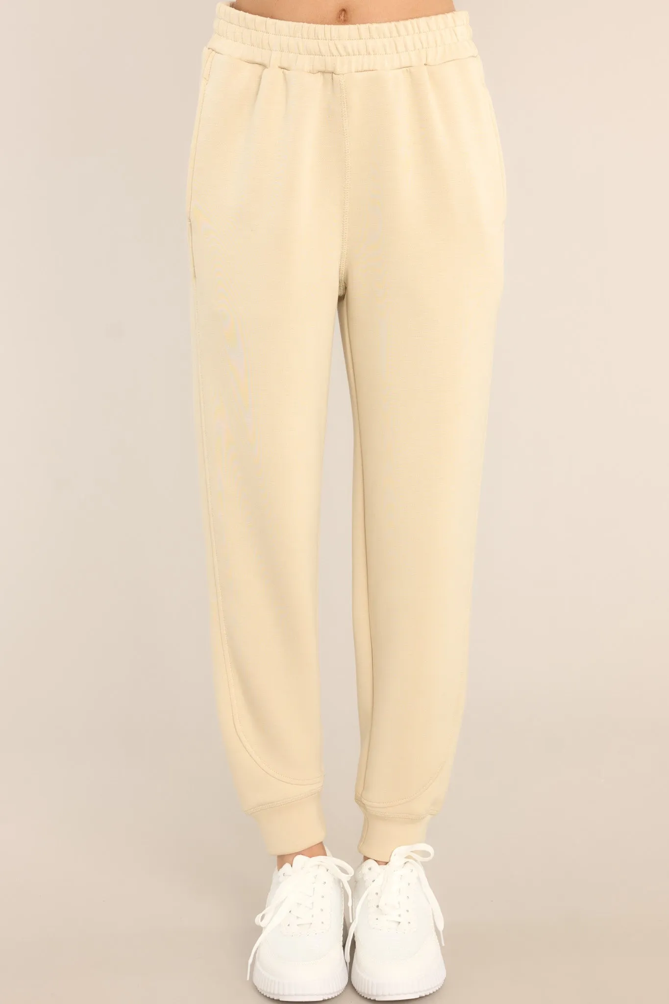 Blow Off Steam Beige Joggers