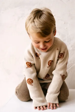 Organic Snail Knit Sweater in Oatmeal